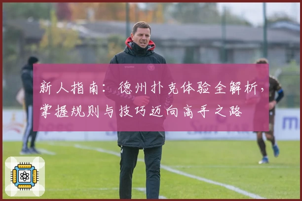 新人指南：德州扑克体验全解析，掌握规则与技巧迈向高手之路