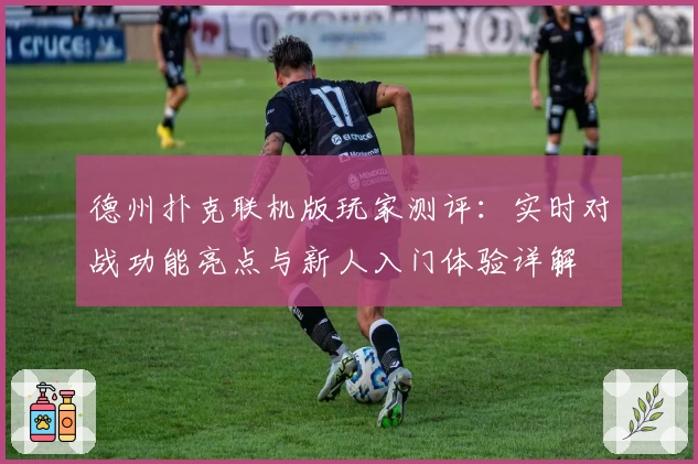 德州扑克联机版玩家测评:实时对战功能亮点与新人入门体验详解