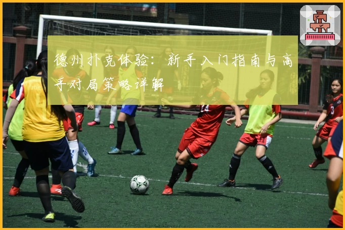 德州扑克体验：新手入门指南与高手对局策略详解