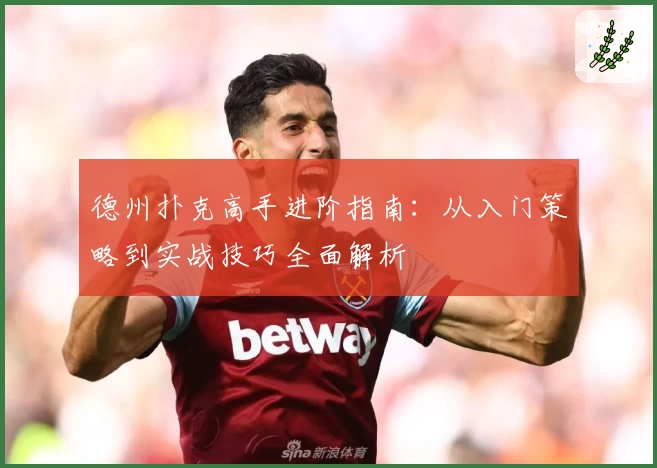 德州扑克高手进阶指南：从入门策略到实战技巧全面解析